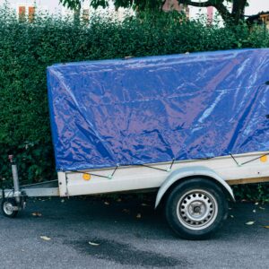 pexels markus winkler 1430818 10304035